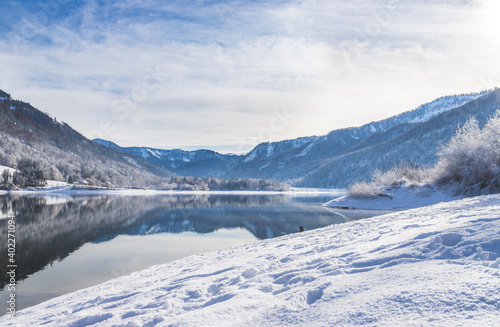 Sunny winter landscape in the alps: Lake Hintersee in Salzburg, snowy trees and mountains