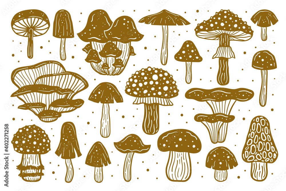 Big set of forest mushrooms. Ink vector illustration. Linocut print. Golden monochrome design. Botanic, nature. Big set of forest mushrooms. Ink vector illustration. Linocut print. Golden monochrome design. Botanic, nature.