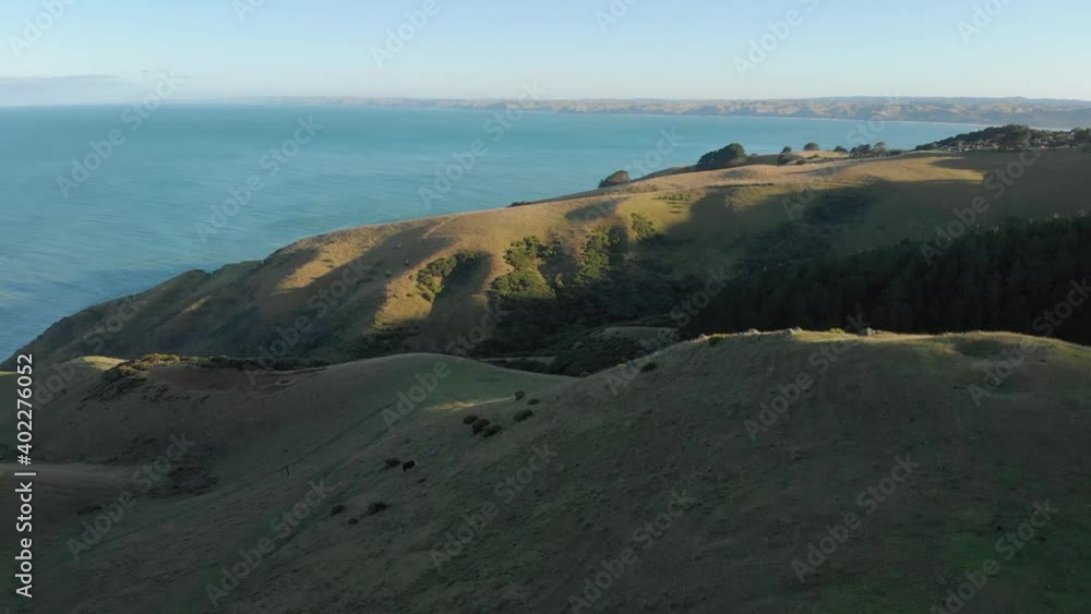 Beautiful coastline south of Raglan, New Zealand Beautiful coastline south of Raglan, New Zealand