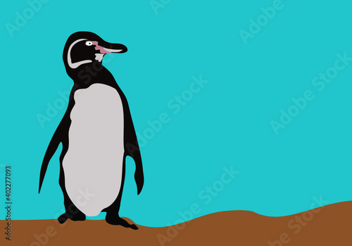 Galápagos Penguin vector image. Endangered animal. It is the only penguin living at the equator. (Scientific name: Spheniscus mendiculus). Most of this species found Isabela and Fernandina Islands. 