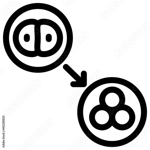 Cell Division 