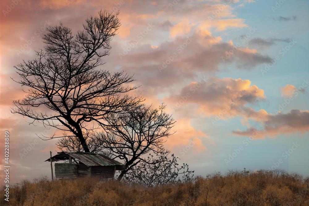 Shiny little house and sky at sunset with a dramatic red sky. Shiny little house and sky at sunset with a dramatic red sky.