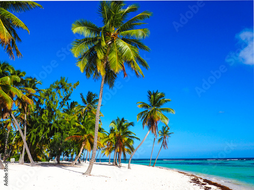 Isla Saona Beach, Dominican Republic