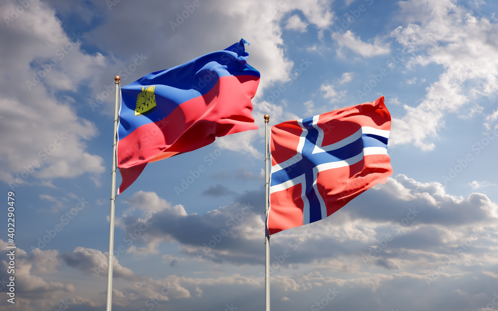 Flags of Liechtenstein and Norway.
