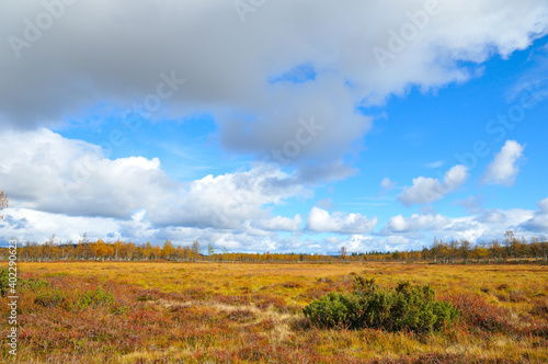 Fluß in Schweden in Jämtland im Herbst
