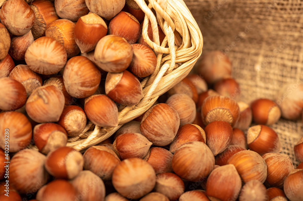 Hazelnuts in a wicker basket and loose nuts. It's time for the autumn harvest. Close-up, selective focus.