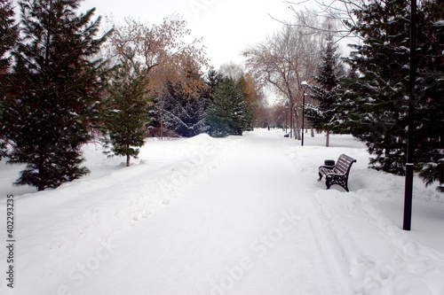 snow covered road © Юлия Новикова
