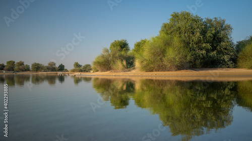 reflection of trees in the water