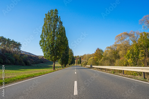 Landstraße mit Bäumen
