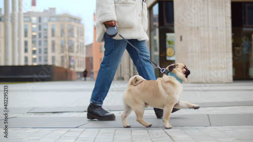 Dog walker strides with his pet on leash while walking at street pavement