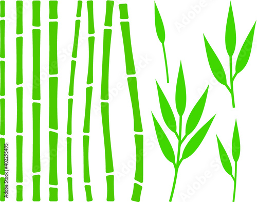 Fototapeta Naklejka Na Ścianę i Meble -  Vector illustration of the bamboo
