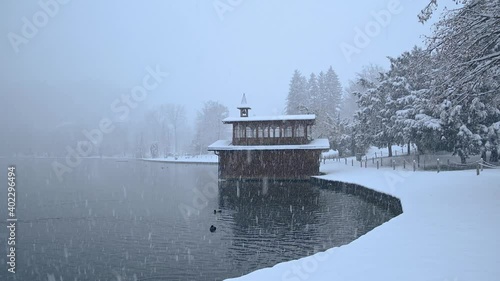 Snow falling on lake Bled shore, Slovenia. Snowstorm in winter season. Calm view of snowflakes falling on ground. Group of mallard ducks in water. Static shot, wide angle, real time