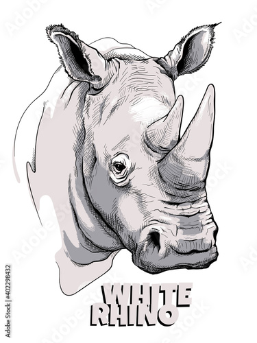 White rhino  sketch. Vector illustration in hand drawn style