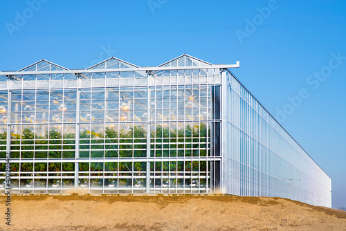 Frontal and side view on a new industrial greenhouse for tomatoes growing. Czech Republic.
