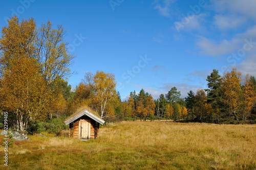 Waldwiese mit einer Hütte in Schweden