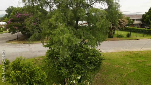 Wallpaper Mural Rising up a tree with a drone ,over the top to reveal a neighborhood and a man cutting the lawn. Torontodigital.ca