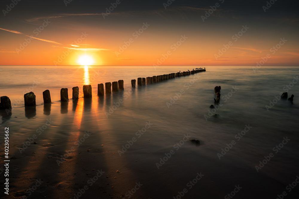Birds on wooden breakwater at the sunset over Baltic Sea