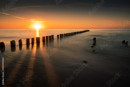 Fototapeta Naklejka Na Ścianę i Meble -  Birds on wooden breakwater at the sunset over Baltic Sea