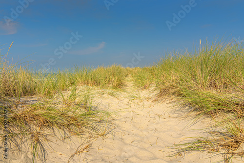 sand dunes and grass