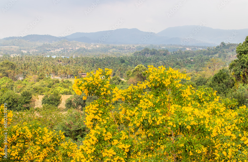 the landscape around Wat Khao Tabak in Si Racha Thailand Asia the landscape around Wat Khao Tabak in Si Racha Thailand Asia