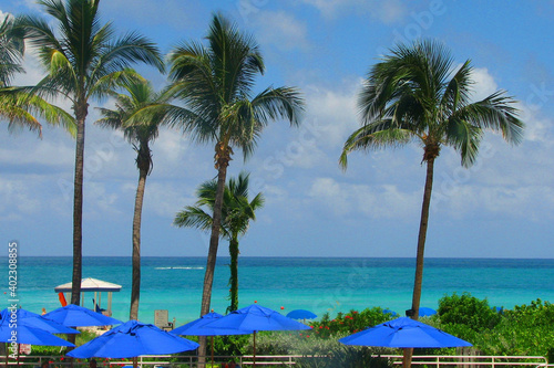 turquoise water coast with palm trees  blue umbrellas