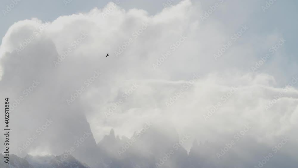 Eagle flying in front of mountains covered in clouds Eagle flying in front of mountains covered in clouds
