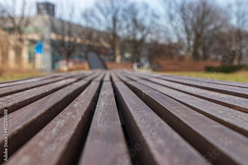 A wooden bench in a park in Krakow