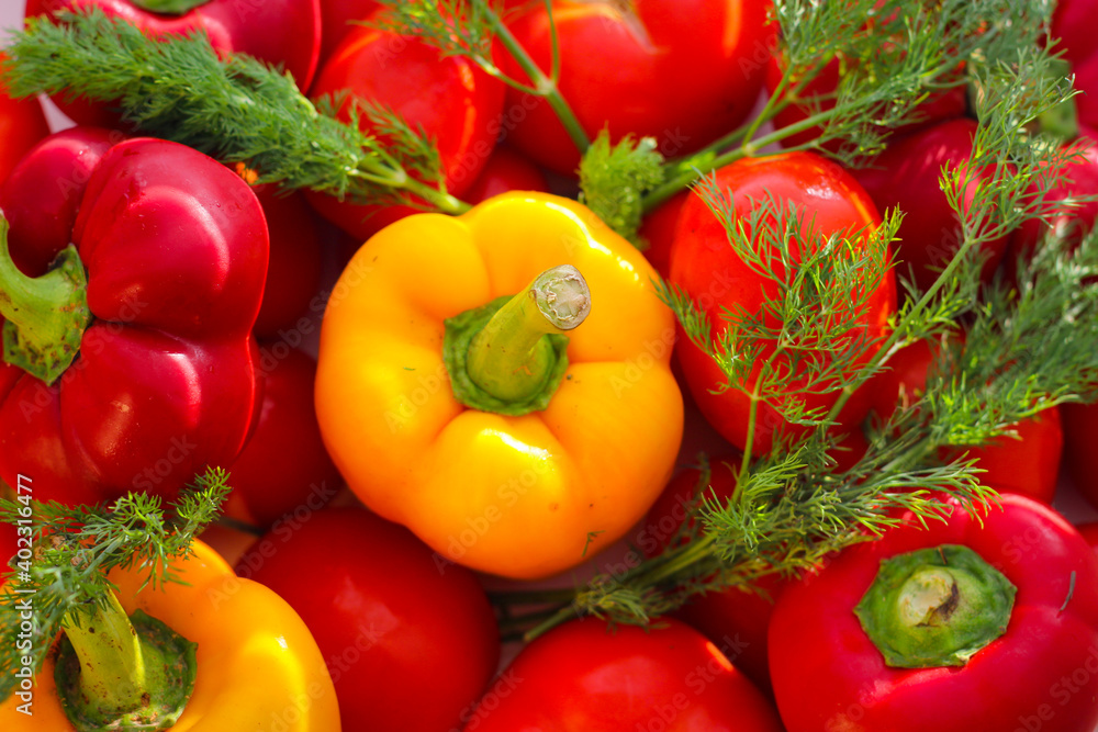 Ripe tomatoes and bell peppers illuminated by the rays of the sun Ripe tomatoes and bell peppers illuminated by the rays of the sun