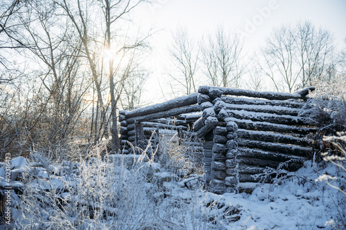 Winter Sunny day, stems and branches of plants covered with white frost. Abandoned log cabin of a wooden house in hoarfrost