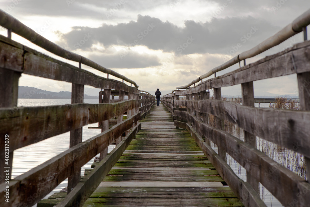 Man walking on a wooden pier in a cloudy day,  in the naturalistic oasis of  