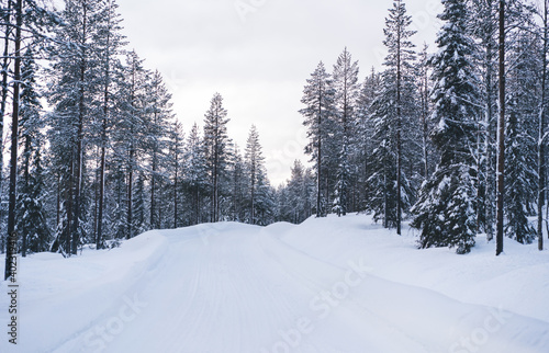 Empty snowy road in winter forest in daylight © BullRun