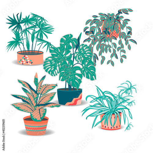 Indoor plants flat color illustrations set.Realistic houseplants in beige pot.Exotic flower with stem and leaves.Monstera,dieffenbachia, chlorophytum, cyperus isolated botanical design elements.