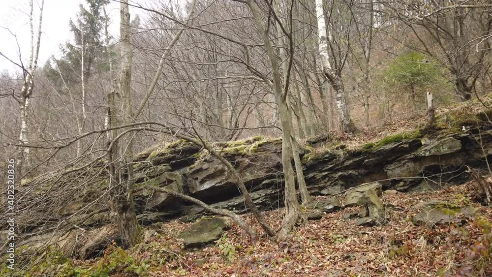 View on a rocky terrain at the mountain village. Autumn forest