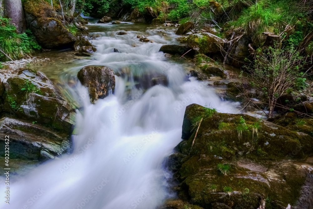soft flowing torrent in a green forest in the summer soft flowing torrent in a green forest in the summer