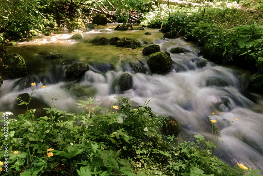 soft flowing water over many rocks with moos and plants soft flowing water over many rocks with moos and plants