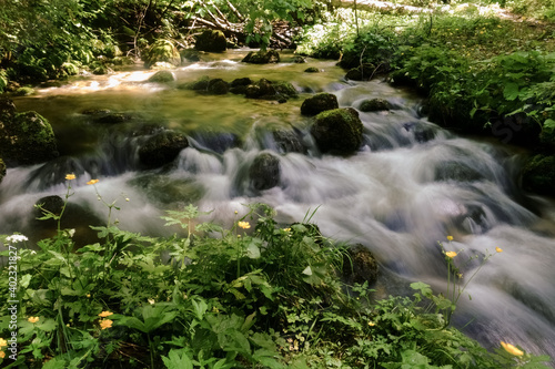 soft flowing water over many rocks with moos and plants