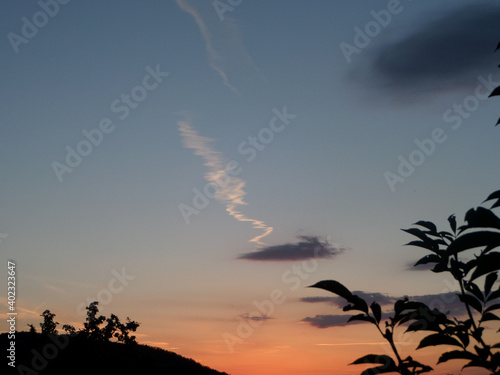 Silhouette von dunklen Str  uchern vor einem blauen  lila  orangenem Himmel mit Sonnenuntergang. Chemtrail Flugzeug Kondensstreifen concept image .