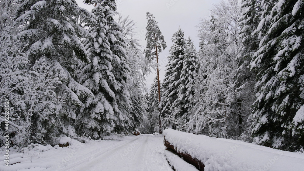 verschneiter Wanderweg im Schwarzwald verschneiter Wanderweg im Schwarzwald