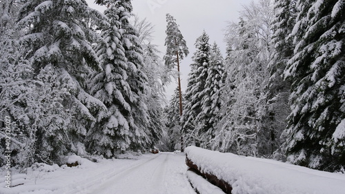 verschneiter Wanderweg im Schwarzwald