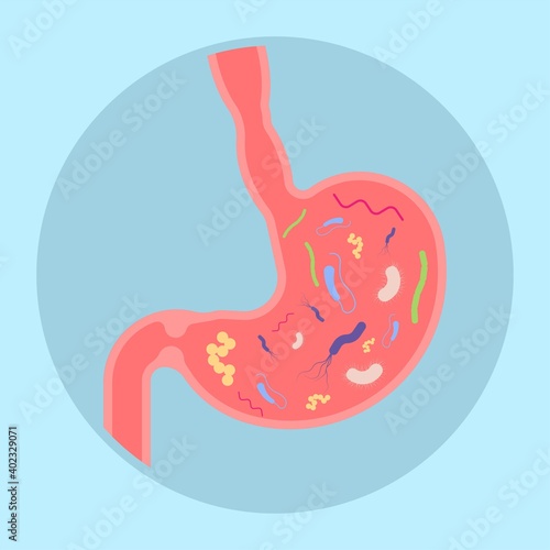 intestine bacteria gut pain eating IBS large fungal fungi tract H. pylori c. diff cancer gas colon Rectal vomiting spastic mucous colitis viral acid level celiac  Crohn's abdomen yeast system germs