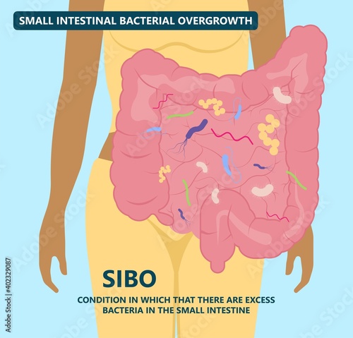 intestine bacteria gut pain eating IBS large fungal fungi tract H. pylori c. diff cancer gas colon Rectal vomiting spastic mucous colitis viral acid level celiac  Crohn's abdomen yeast system germs