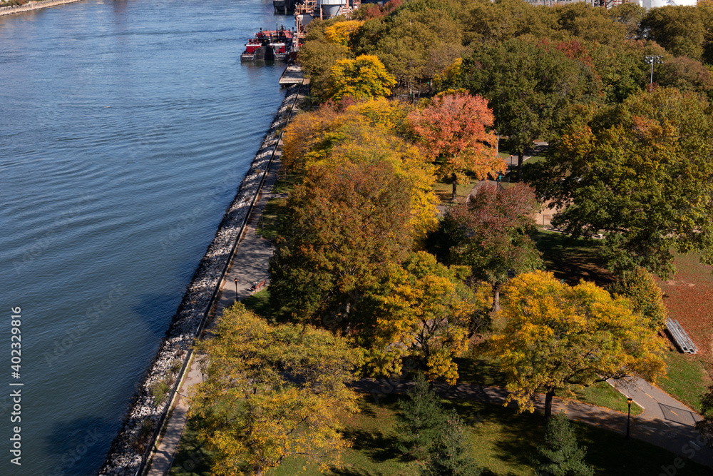 Colorful Trees at Queensbridge Park during Autumn along the East River in Long Island City Queens New York