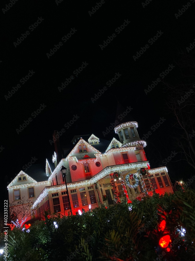 Fototapeta premium christmas tree at night