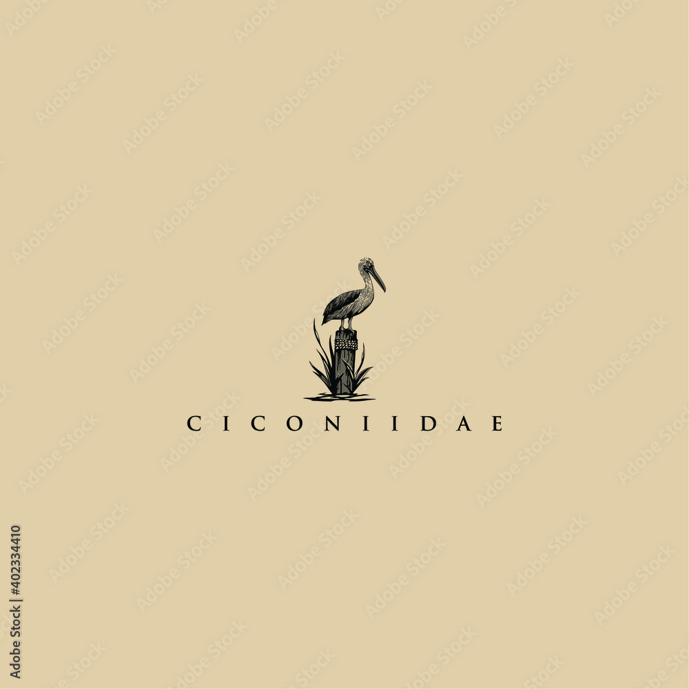 Ciconiidae bird vector for logo.
Ciconiidae bird vector for logo.