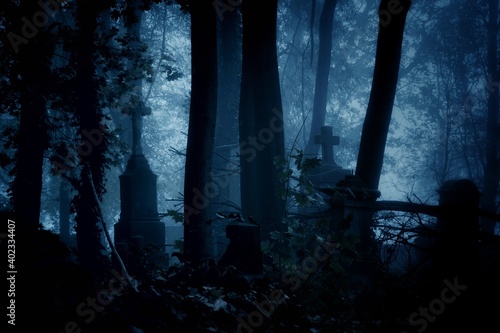 Εκτύπωση καμβά night view of an old cemetery on a moonlit misty night