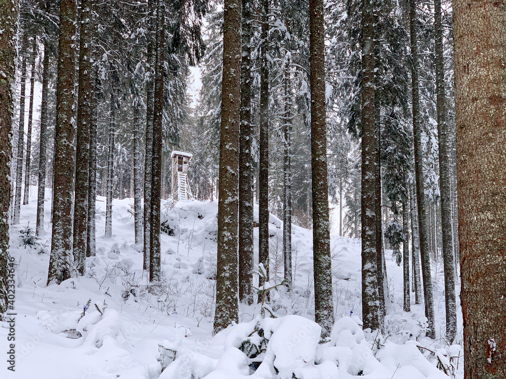 Winter in Hinterzarten im Schwarzwald Winter in Hinterzarten im Schwarzwald