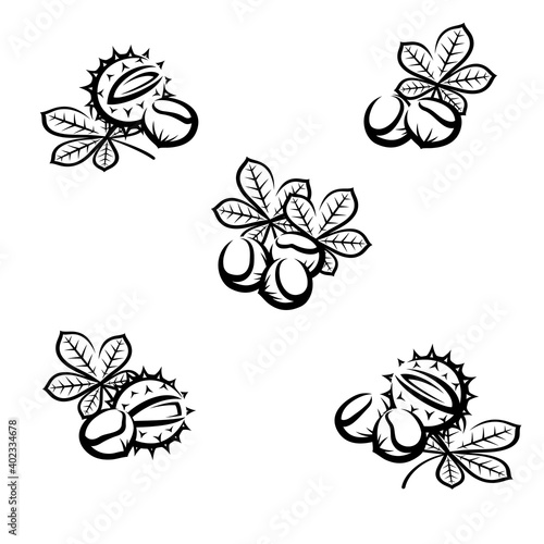 Chestnut set. Collection icon chestnut. Vector