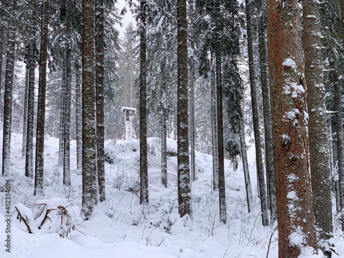 Winter in Hinterzarten im Schwarzwald photo