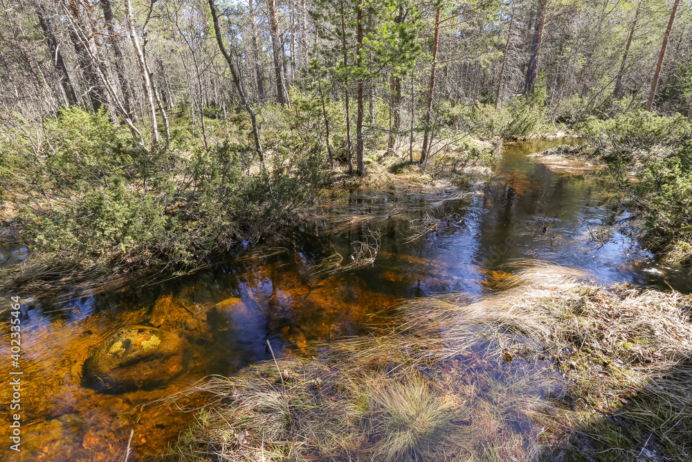 Obraz premium Spring flood