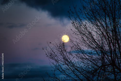 Mystische, geheimnisvolle Abendstimmung, Landschaft mit Wolken, Vollmond, Ästen und Abendrot 